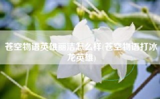 苍空物语英雄丽洁怎么样(苍空物语打冰龙英雄)
