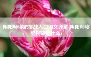 阴阳师寝肥挑战入口图文详解(阴阳师寝肥挑战是什么)