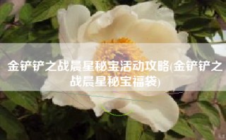 金铲铲之战晨星秘宝活动攻略(金铲铲之战晨星秘宝福袋)