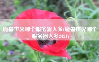 魔兽世界哪个服务器人多(魔兽世界哪个服务器人多2021)
