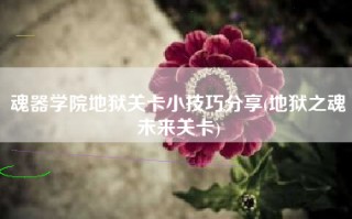 魂器学院地狱关卡小技巧分享(地狱之魂未来关卡)