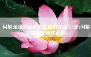 闪耀暖暖墨丘利在此刻的VIP级别是(闪耀暖暖墨丘利在此刻)