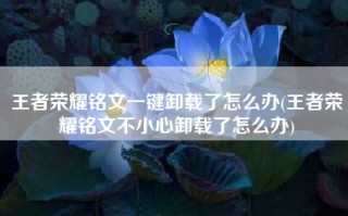 王者荣耀铭文一键卸载了怎么办(王者荣耀铭文不小心卸载了怎么办)