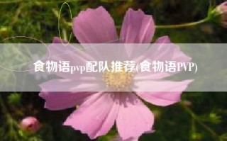 食物语pvp配队推荐(食物语PVP)
