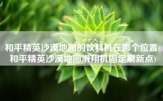 和平精英沙漠地图的饮料机在哪个位置(和平精英沙漠地图滑翔机固定刷新点)