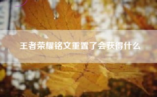 王者荣耀铭文重置了会获得什么