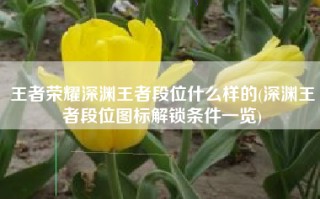 王者荣耀深渊王者段位什么样的(深渊王者段位图标解锁条件一览)