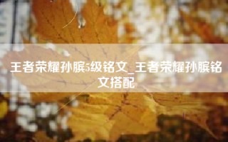 王者荣耀孙膑5级铭文_王者荣耀孙膑铭文搭配