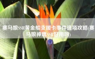 赛马娘SSR黄金船支援卡事件选项攻略(赛马娘神鹰SSR好用吗)