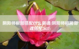 阴阳师椒图搭配什么御魂(阴阳师椒图御魂搭配2022)