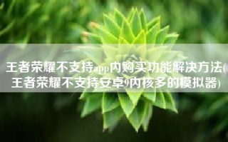 王者荣耀不支持app内购买功能解决方法(王者荣耀不支持安卓9内核多的模拟器)