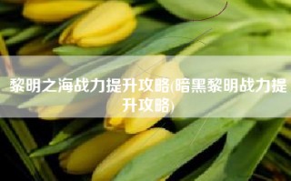 黎明之海战力提升攻略(暗黑黎明战力提升攻略)