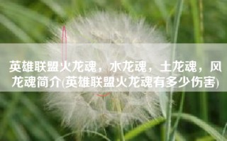 英雄联盟火龙魂，水龙魂，土龙魂，风龙魂简介(英雄联盟火龙魂有多少伤害)