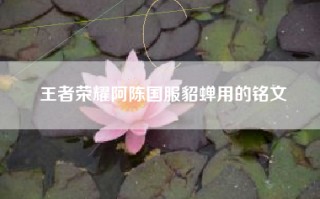 王者荣耀阿陈国服貂蝉用的铭文