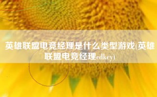 英雄联盟电竞经理是什么类型游戏(英雄联盟电竞经理cdkey)