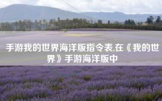 手游我的世界海洋版指令表,在《我的世界》手游海洋版中