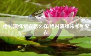 绝对演绎紫衣怎么样(绝对演绎宋祁和紫衣)