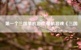第一个三国单机游戏,单机游戏《三国