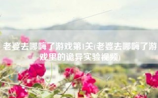 老婆去哪嗨了游戏第1关(老婆去哪嗨了游戏里的诡异实验视频)