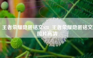 王者荣耀隐匿铭文S28_王者荣耀隐匿铭文图片高清