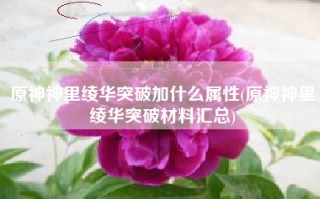 原神神里绫华突破加什么属性(原神神里绫华突破材料汇总)
