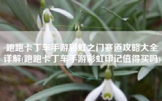 跑跑卡丁车手游彩虹之门赛道攻略大全详解(跑跑卡丁车手游彩虹印记值得买吗)