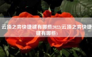 云顶之弈快捷键有哪些2022(云顶之弈快捷键有哪些)