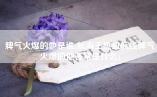 脾气火爆的他是谁(航海王热血航线脾气火爆的他答案是什么)