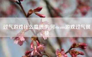 过气游戏什么意思,为何steam游戏过气很快