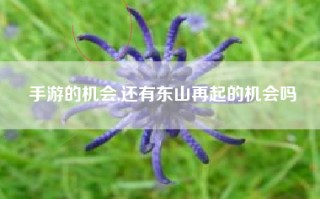手游的机会,还有东山再起的机会吗