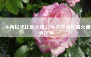 cf手游极光比毁灭稳,CF手游中激光毁灭谁更厉害