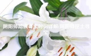 阴阳师踏浪寻宝时间详解(阴阳师挖土寻宝)
