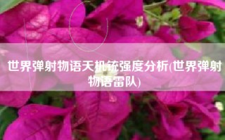 世界弹射物语天机铳强度分析(世界弹射物语雷队)