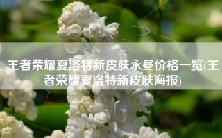 王者荣耀夏洛特新皮肤永昼价格一览(王者荣耀夏洛特新皮肤海报)