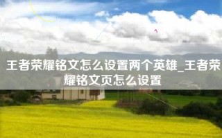 王者荣耀铭文怎么设置两个英雄_王者荣耀铭文页怎么设置
