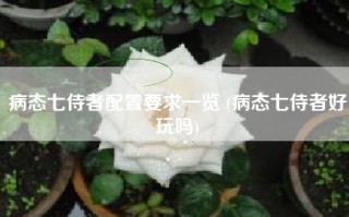 病态七侍者配置要求一览 (病态七侍者好玩吗)