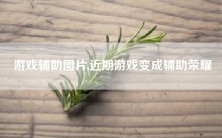 游戏辅助图片,近期游戏变成辅助荣耀