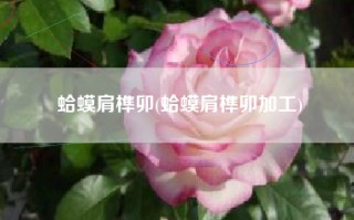 蛤蟆肩榫卯(蛤蟆肩榫卯加工)