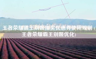 王者荣耀霸王别姬抽奖优惠券使用规则 (王者荣耀霸王别姬优化)