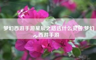 梦幻西游手游星辰之路选什么灵兽,梦幻西游手游