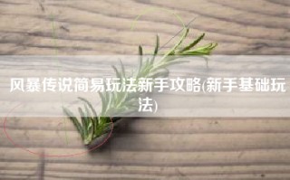 风暴传说简易玩法新手攻略(新手基础玩法)