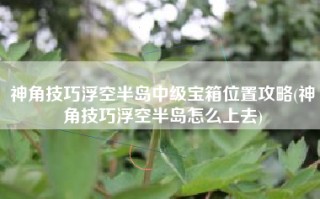 神角技巧浮空半岛中级宝箱位置攻略(神角技巧浮空半岛怎么上去)
