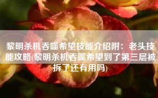 黎明杀机吞噬希望技能介绍附：老头技能攻略(黎明杀机吞噬希望到了第三层被拆了还有用吗)
