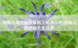 烟雨江湖经脉回复和上限怎么选(烟雨江湖经脉大全效果)
