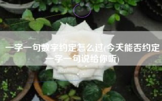 一字一句数字约定怎么过(今天能否约定一字一句说给你听)