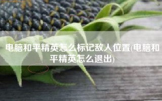 电脑和平精英怎么标记敌人位置(电脑和平精英怎么退出)