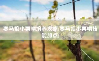 赛马娘小栗帽培养攻略(赛马娘小栗帽技能加点)