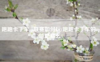 跑跑卡丁车cp联赛如何玩(跑跑卡丁车的cp能隐藏么)