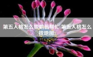 第五人格怎么找鹤翁帮忙(第五人格怎么找地图)