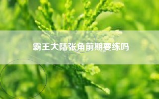 霸王大陆张角前期要练吗